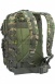 marpat